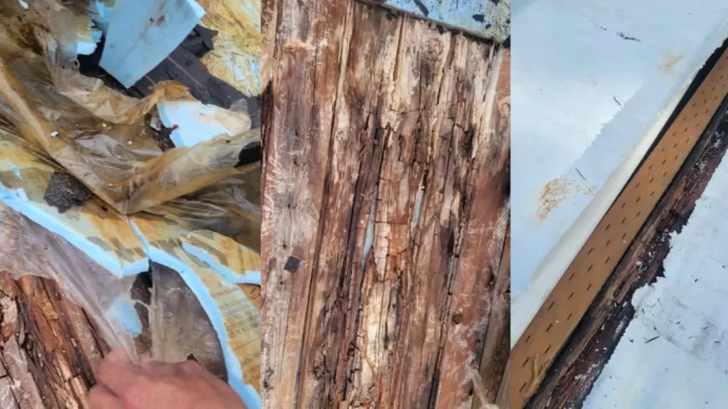 Roof Repair vs Replacement: How Portland Homeowners Can Save Money with the Right Roofing Company