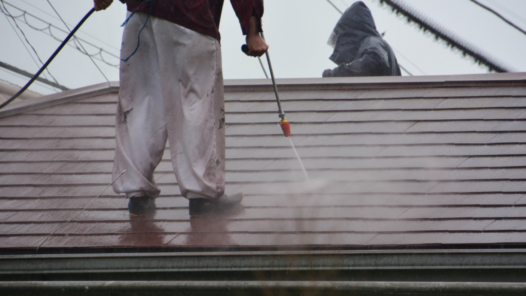 Roof Moss Removal Portland