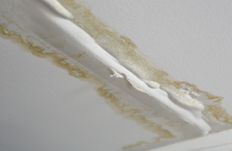 Does Homeowners Insurance Cover Roof Water Leaks? Certified Roofing