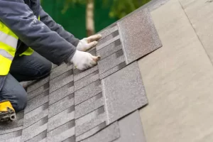 roofing professionals