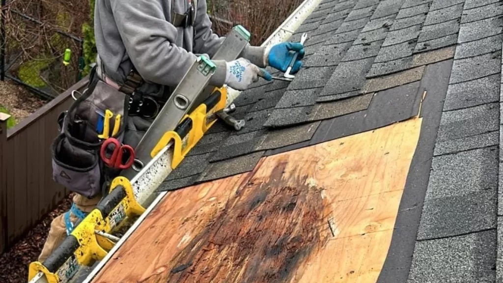 Residential Roof Repairs