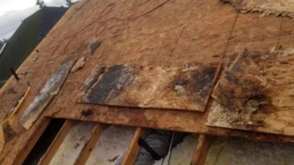 tile roof repair