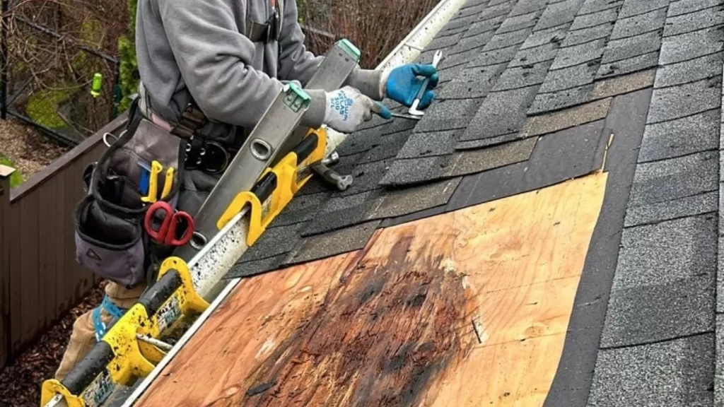 tile roof problem