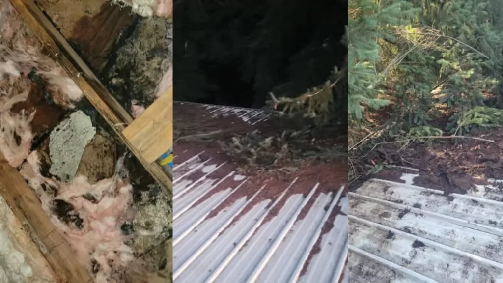 key signs of roof damage