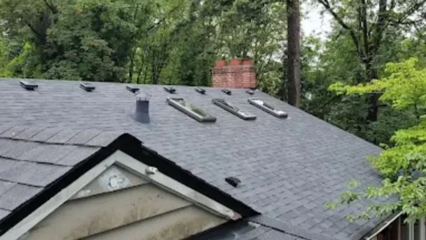 A newly installed dark shingle roof with multiple skylights and vents, completed by a professional roofing company in Portland, set against a backdrop of green trees.