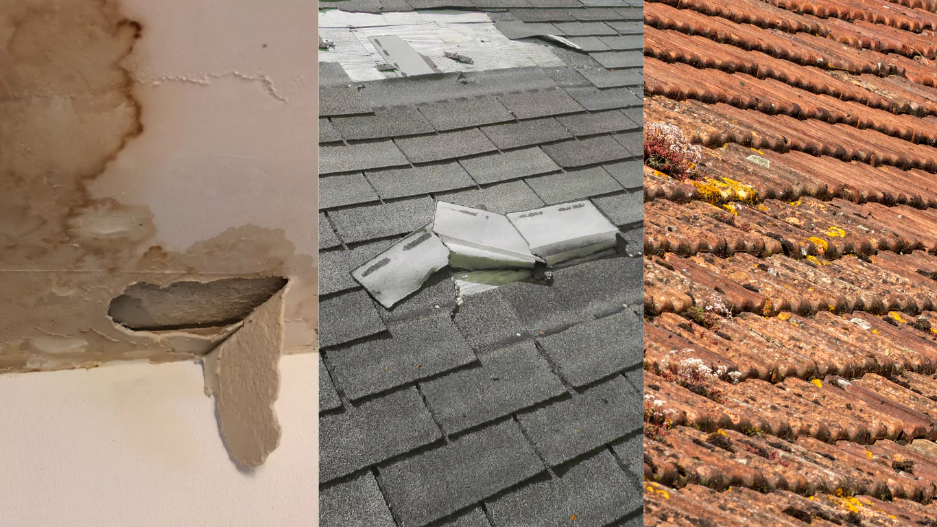 Roof Repair in Portland: 7 Warning Signs You Shouldn’t Ignore